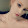 Syren King