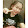 Melody site!!