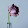 _in_som_niac_ 1
