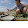 So old to stop with skate and fingerboarding