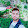 assem samir