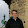 Franck Mollard