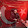 ahmet ASLANHAN