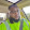 Lemont Belcher