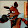 Gold_FOX 2005
