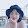 chi linh