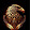 777 Earth Sitizen