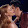 Fan_ Tina beautiful