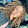JayMarie