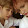 Up A.R.M.Y 9597