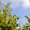 Madzellaura Naturels Bio