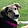 Becouse Dog