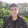 arief dwi saputro