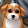 Crasy_ Face