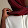Hijab élégance