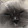 Seven_Eight_Nine Dude