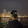 جواد / JAWAD