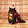 Rayman Black