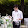 Ban nhạc Ngôi Sao Việt 010-8679-0406