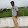 Elan Thamizhan