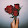 Kehlani Rose