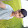 sơn vlog