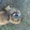 animals31089 M