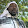 Cutty Cain