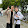 Graffiti_ Boy65