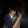 Steven/: