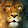 King Lion