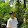 Namthong Saejeaing