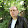 Сергей Корниенко