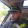 Dominic Carter