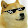 ThatPingu Guy YT