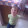 alin babos