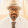 subhajit basu