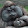 Orang Utan