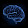 Bluebrain