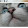 catarina F
