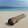 Explore The South-Pacific