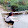 Bùi Thị Thu Hòa