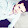 Ali İmanov