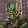 Nggrz from aiblaonlus