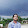 Sarfaraz Alam