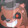 Bilefox962 Bilefox962