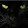 Chat Noir