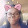 AllThingsCynthia