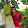 định bá dương