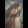 Anna Croce